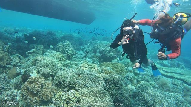 水浒传中有哪几位举止轻浮的女人